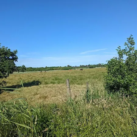 Σπίτι διακοπών 8 Person In Blavand-by Traum