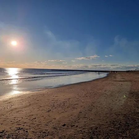 Σπίτι διακοπών 8 Person In Blavand-by Traum *